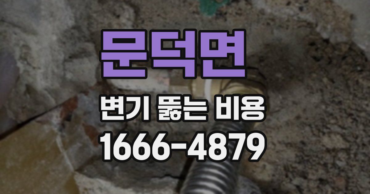 문덕면 변기 뚫는 비용