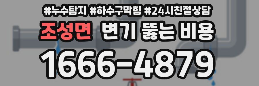 조성면 변기 뚫는 비용