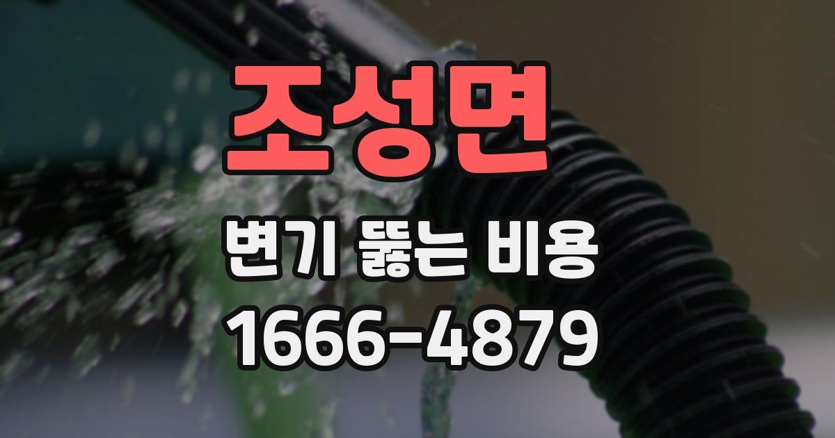 조성면 변기 뚫는 비용