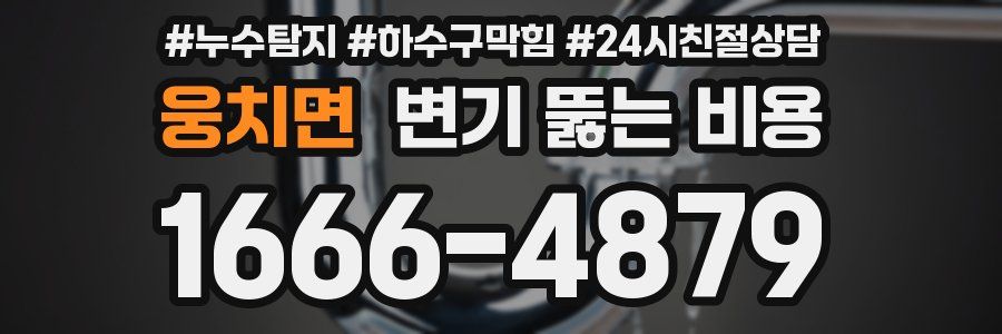 웅치면 변기 뚫는 비용