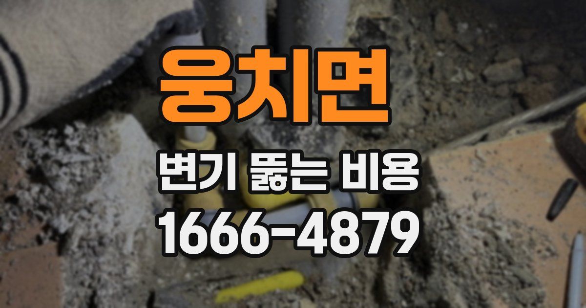 웅치면 변기 뚫는 비용