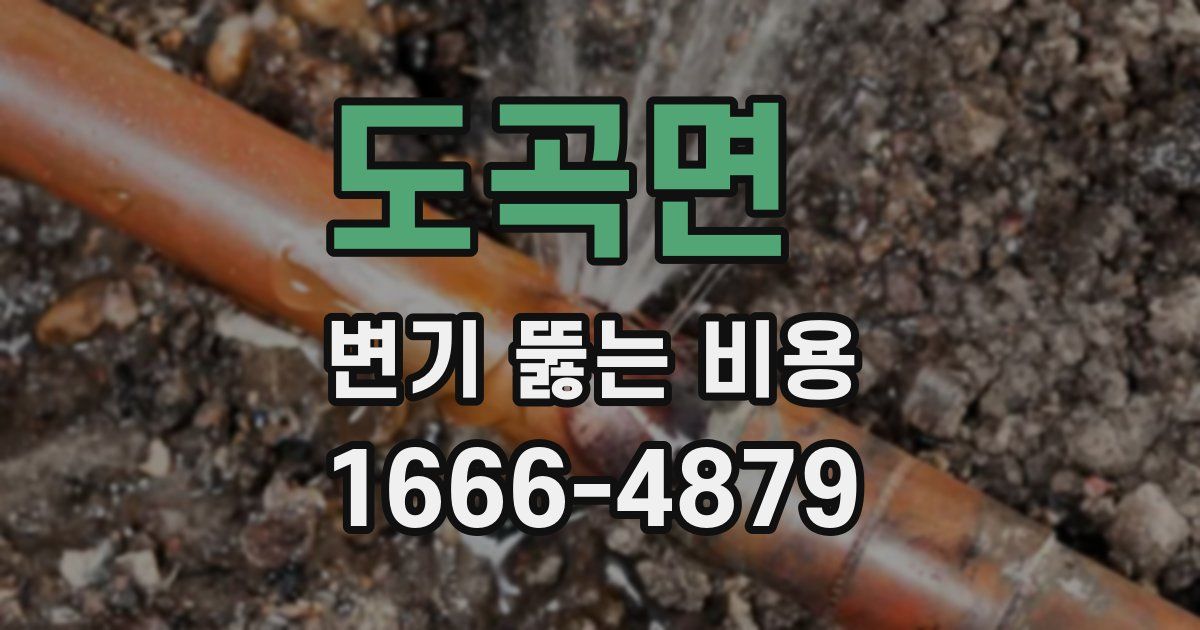 도곡면 변기 뚫는 비용