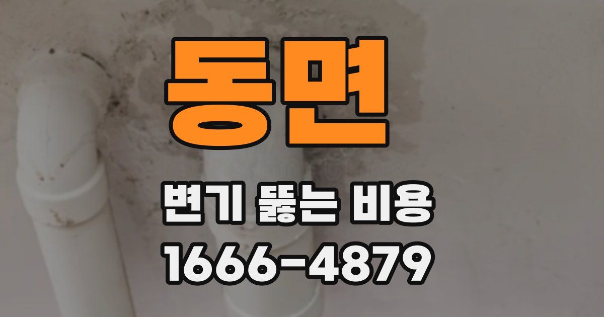 동면 변기 뚫는 비용