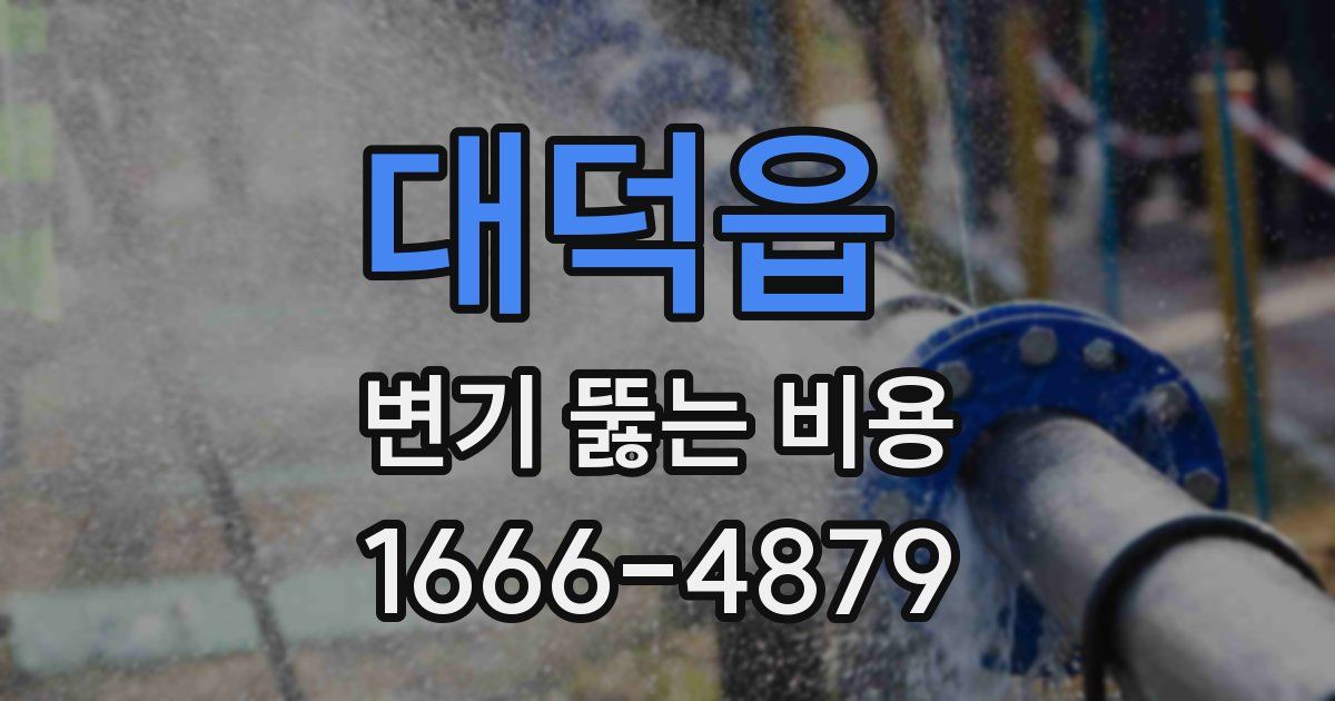 대덕읍 변기 뚫는 비용