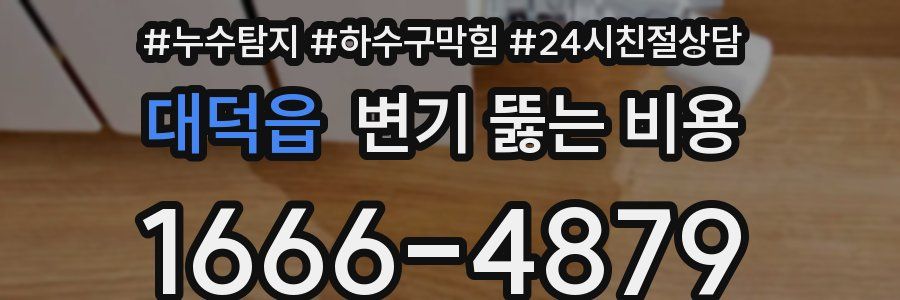 대덕읍 변기 뚫는 비용