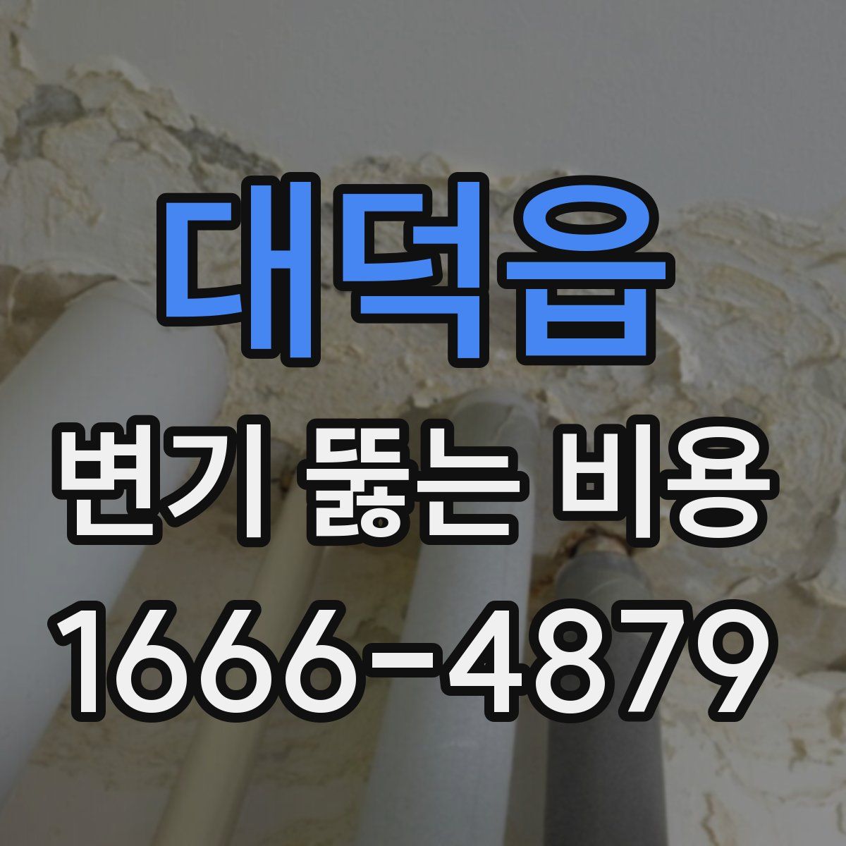 대덕읍 변기 뚫는 비용