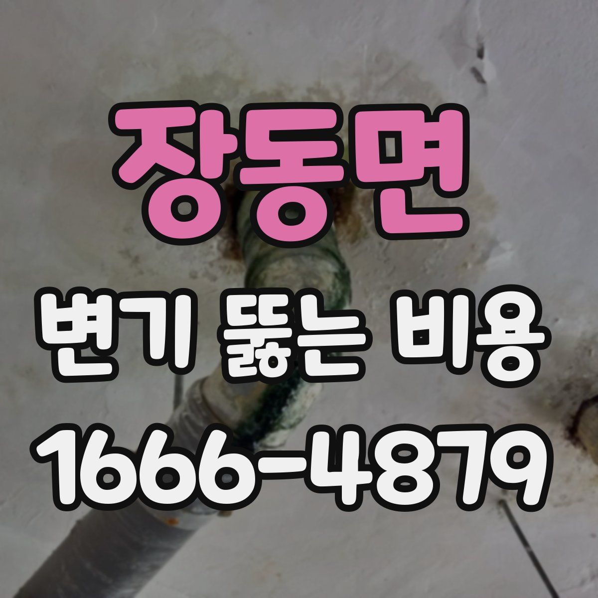장동면 변기 뚫는 비용