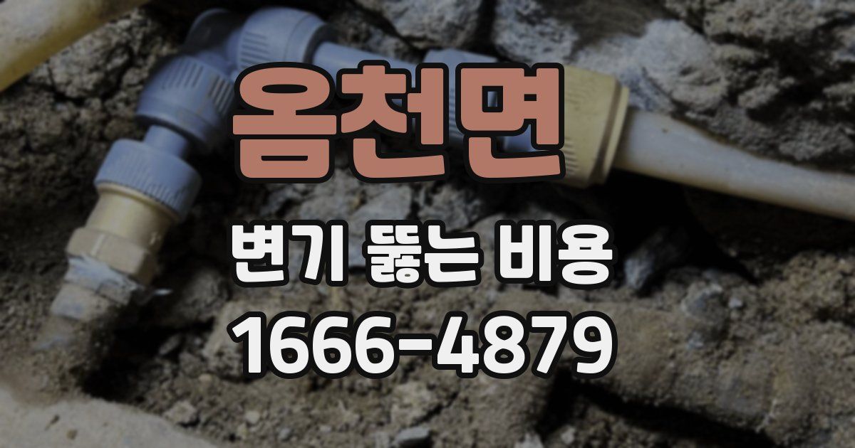 옴천면 변기 뚫는 비용