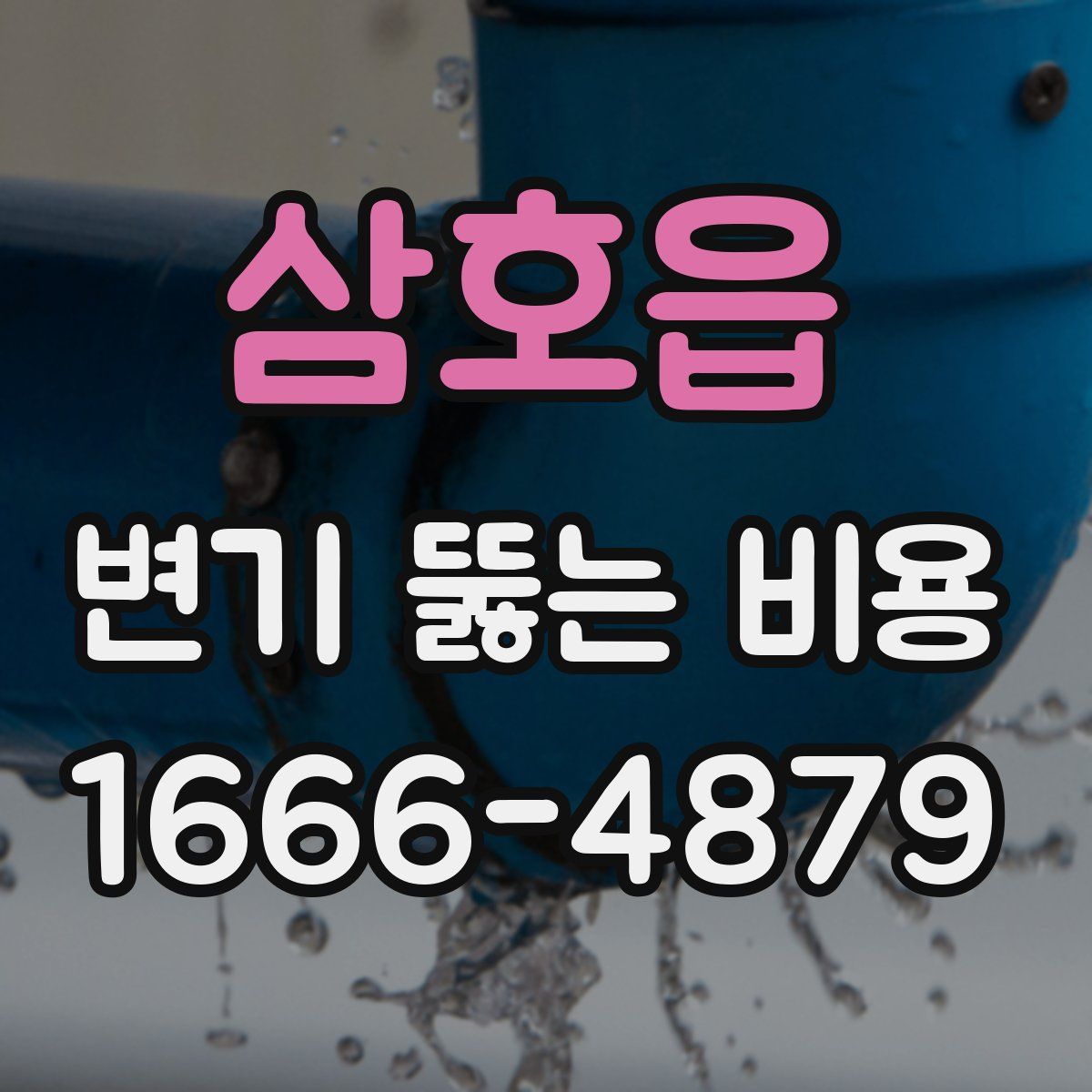 삼호읍 변기 뚫는 비용