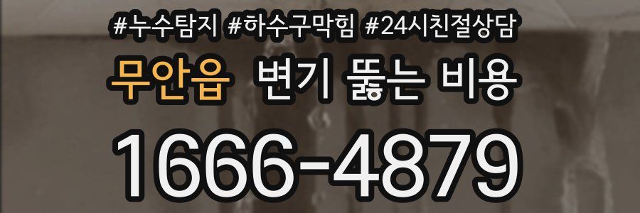 무안읍 변기 뚫는 비용