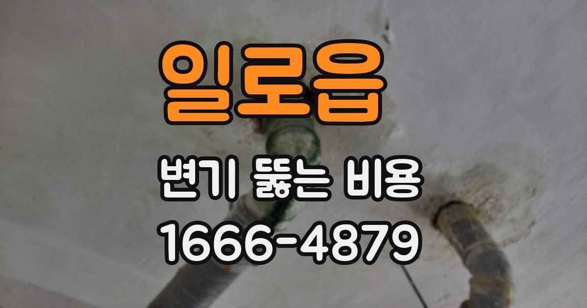 일로읍 변기 뚫는 비용