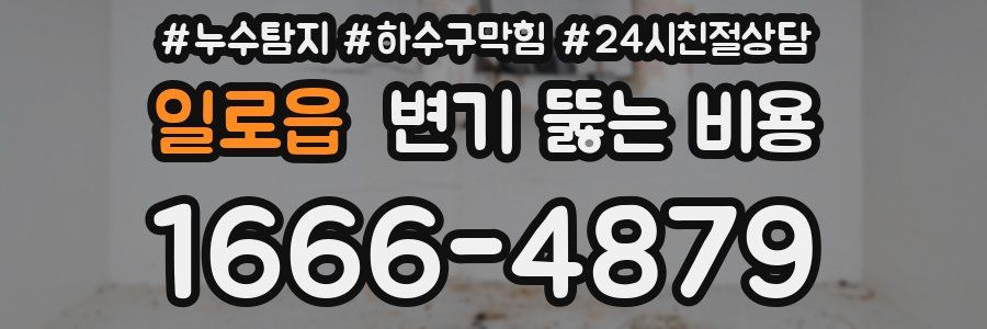 일로읍 변기 뚫는 비용