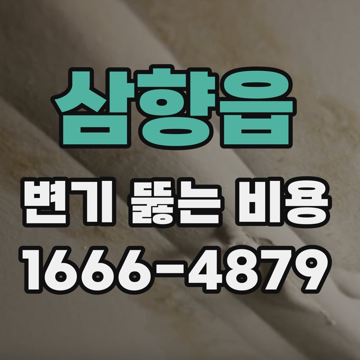삼향읍 변기 뚫는 비용