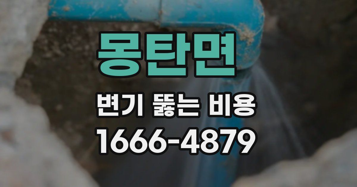 몽탄면 변기 뚫는 비용