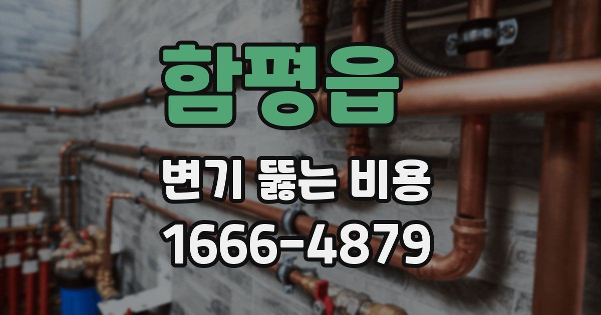 함평읍 변기 뚫는 비용