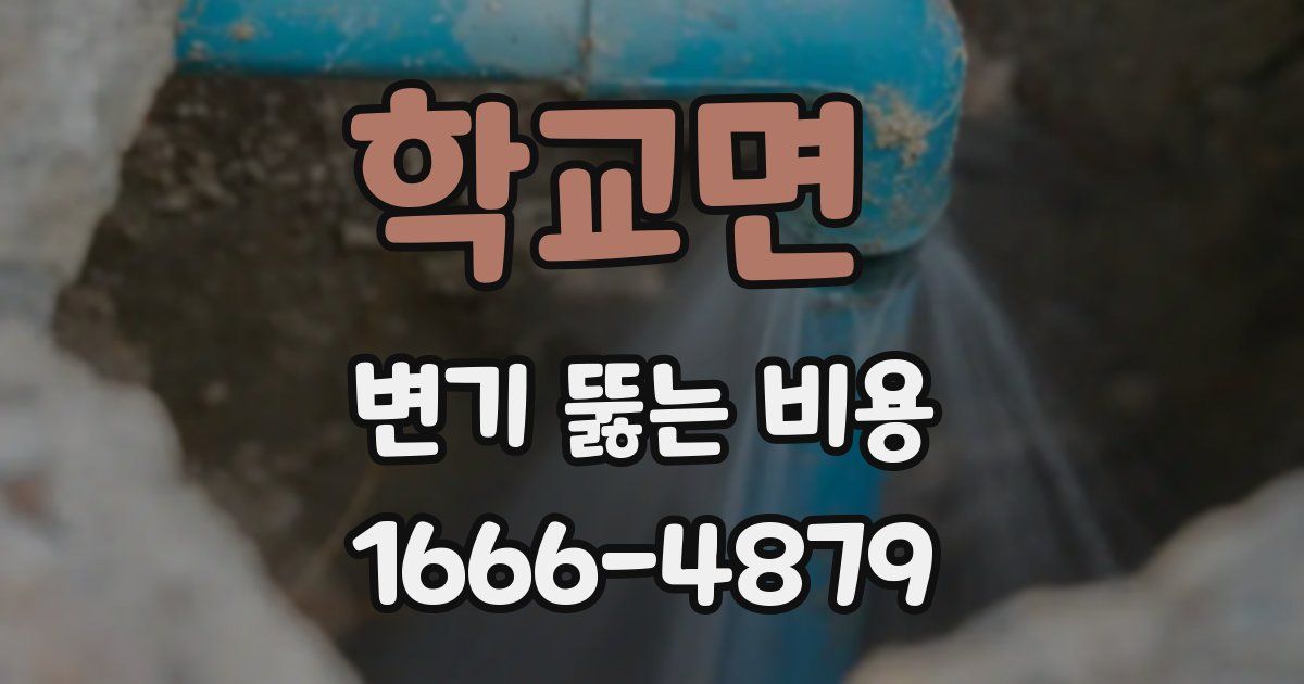학교면 변기 뚫는 비용