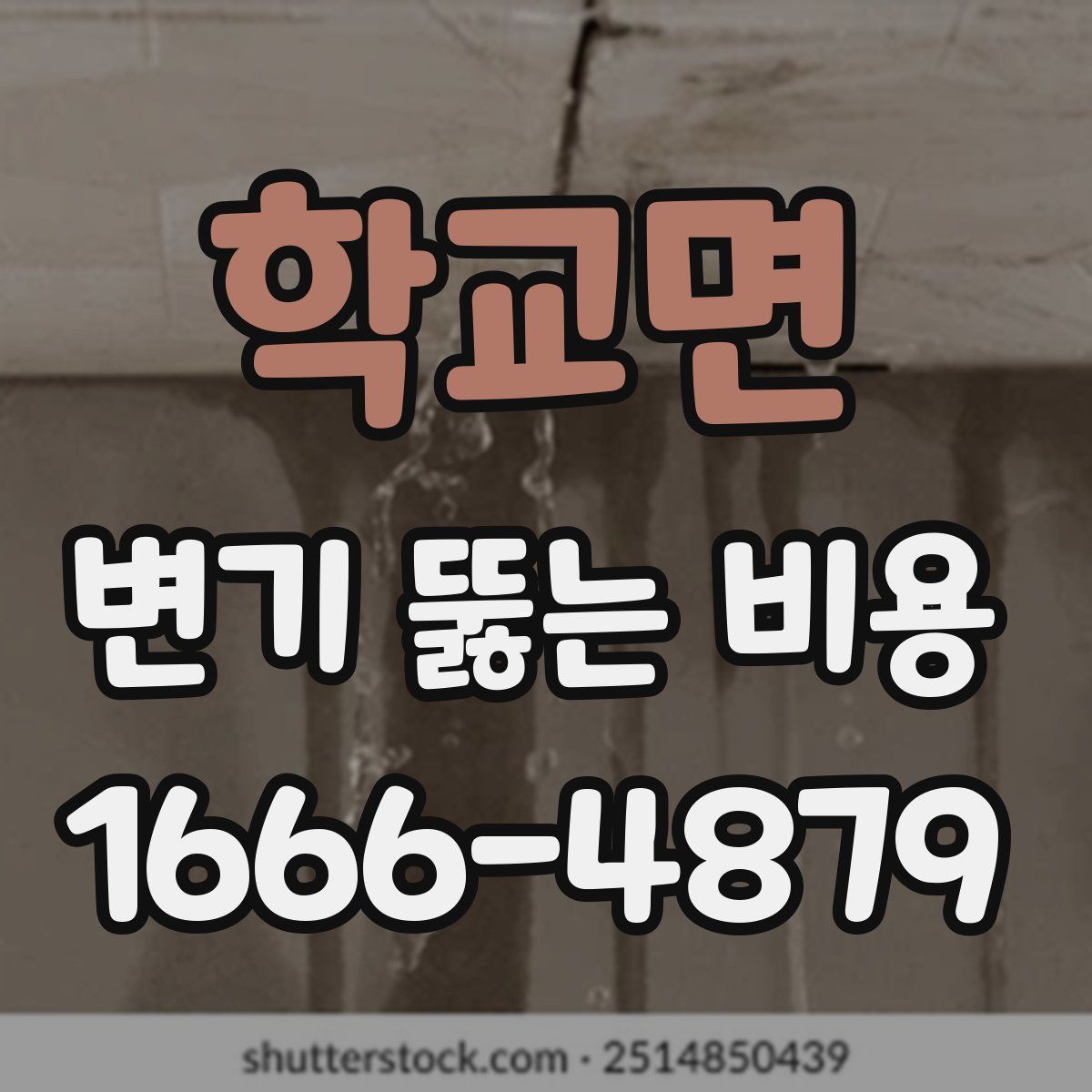 학교면 변기 뚫는 비용