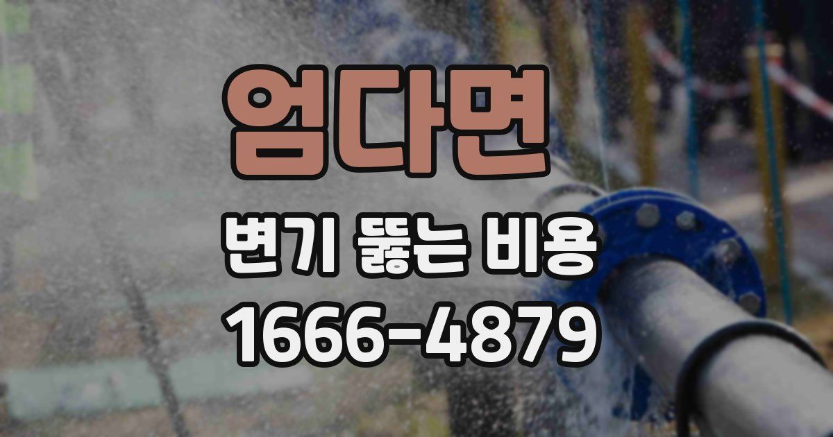 엄다면 변기 뚫는 비용