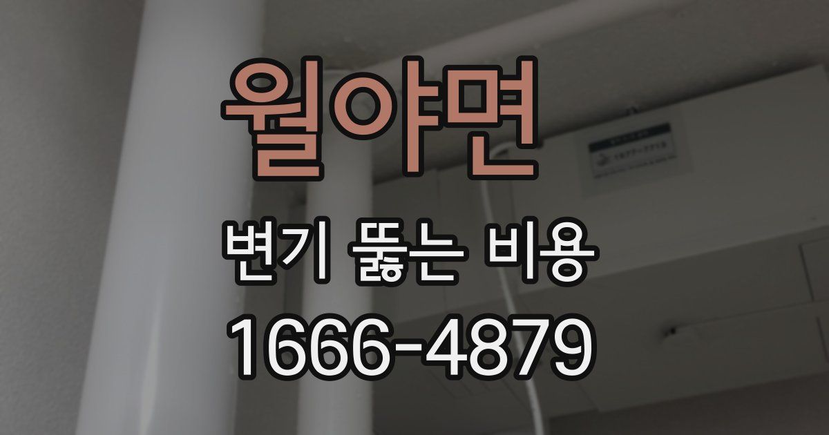 월야면 변기 뚫는 비용