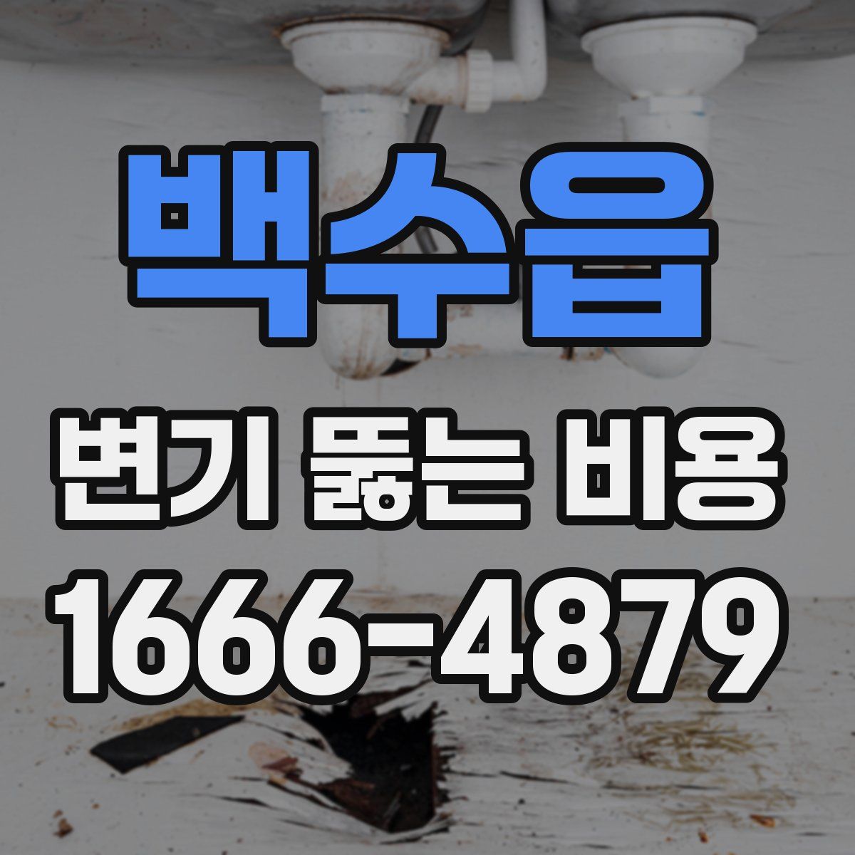 백수읍 변기 뚫는 비용