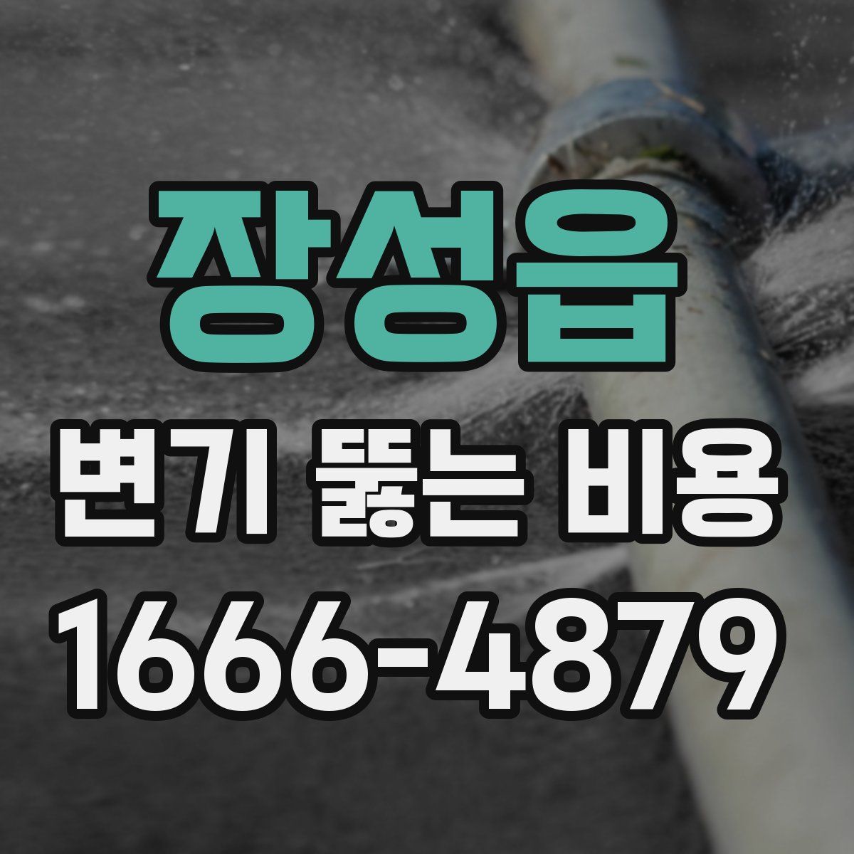 장성읍 변기 뚫는 비용