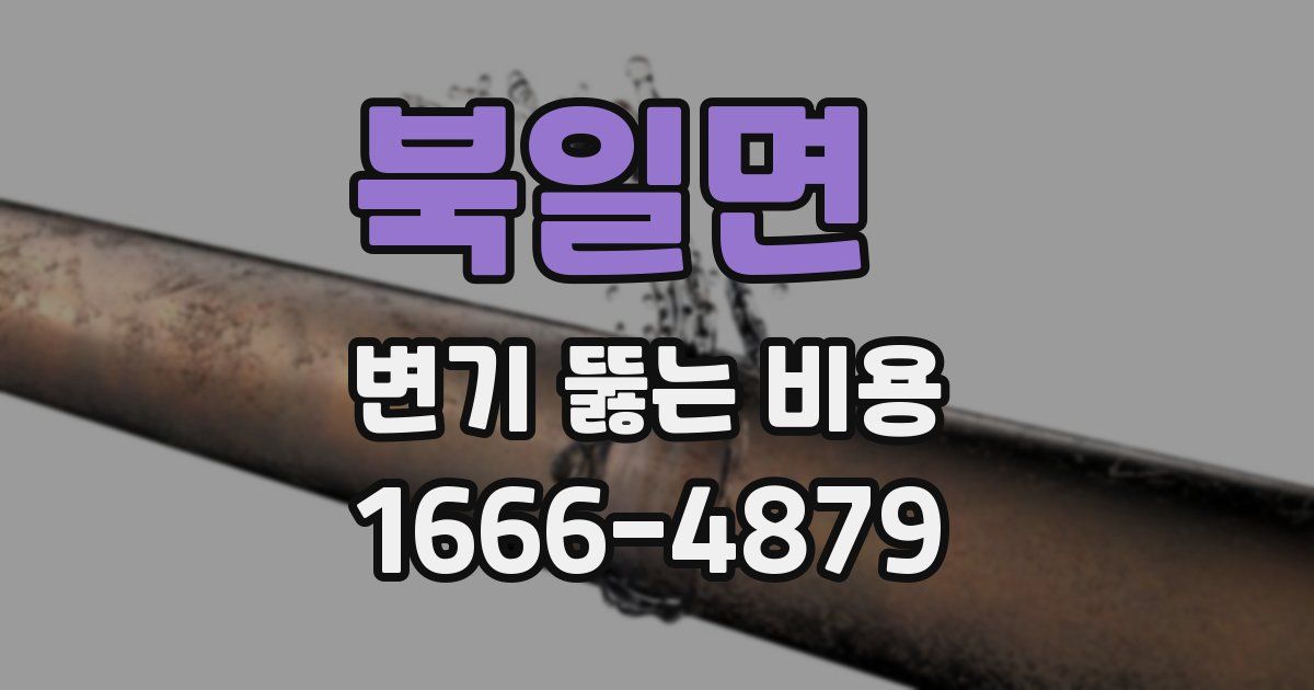 북일면 변기 뚫는 비용