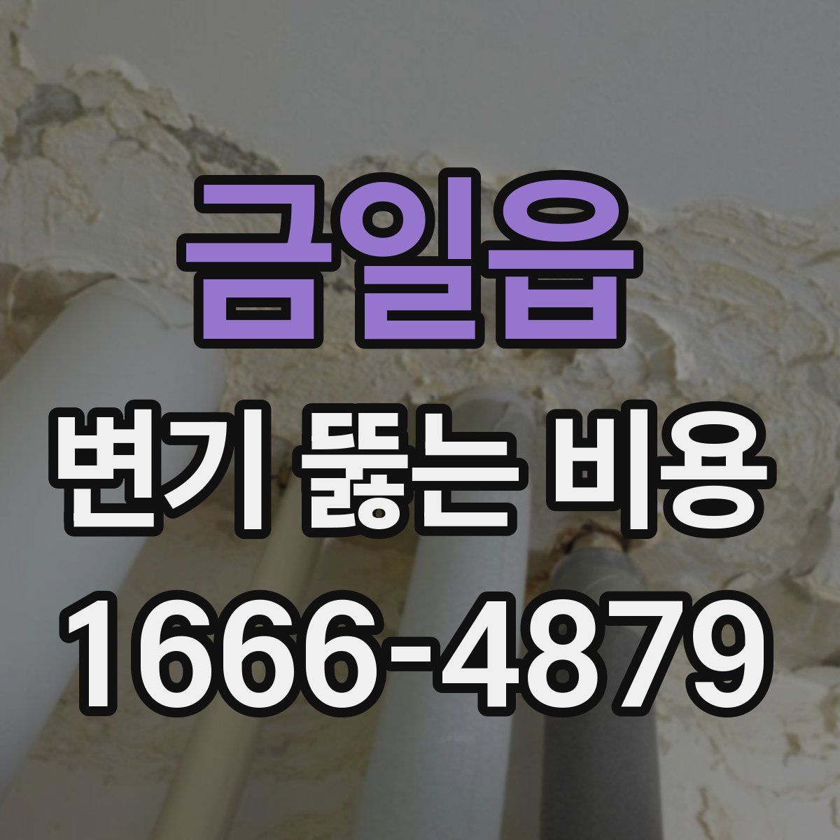 금일읍 변기 뚫는 비용