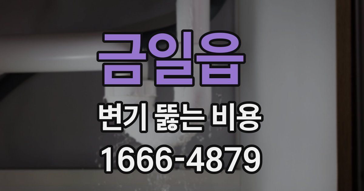 금일읍 변기 뚫는 비용