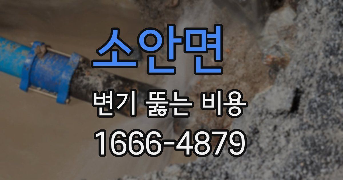 소안면 변기 뚫는 비용
