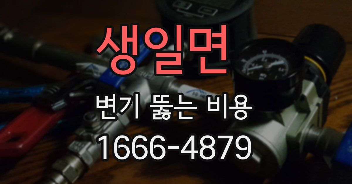 생일면 변기 뚫는 비용