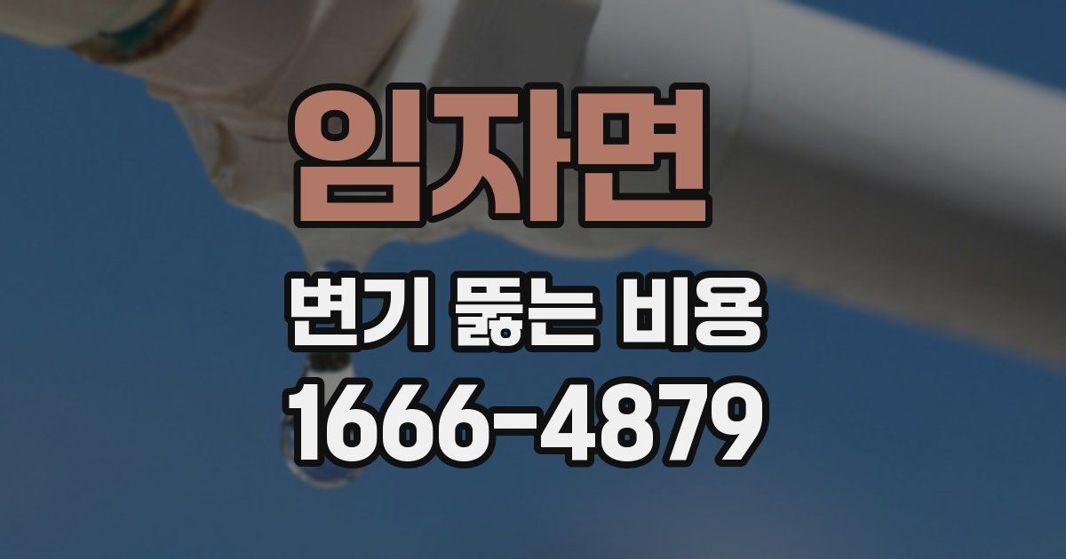 임자면 변기 뚫는 비용