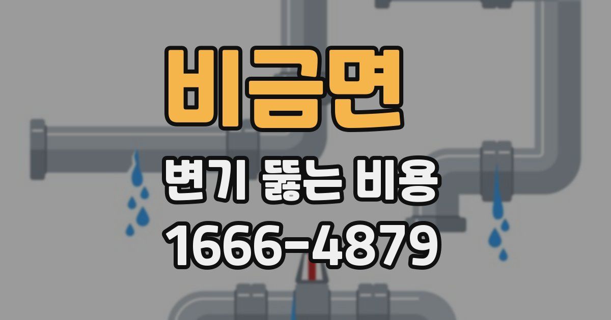비금면 변기 뚫는 비용