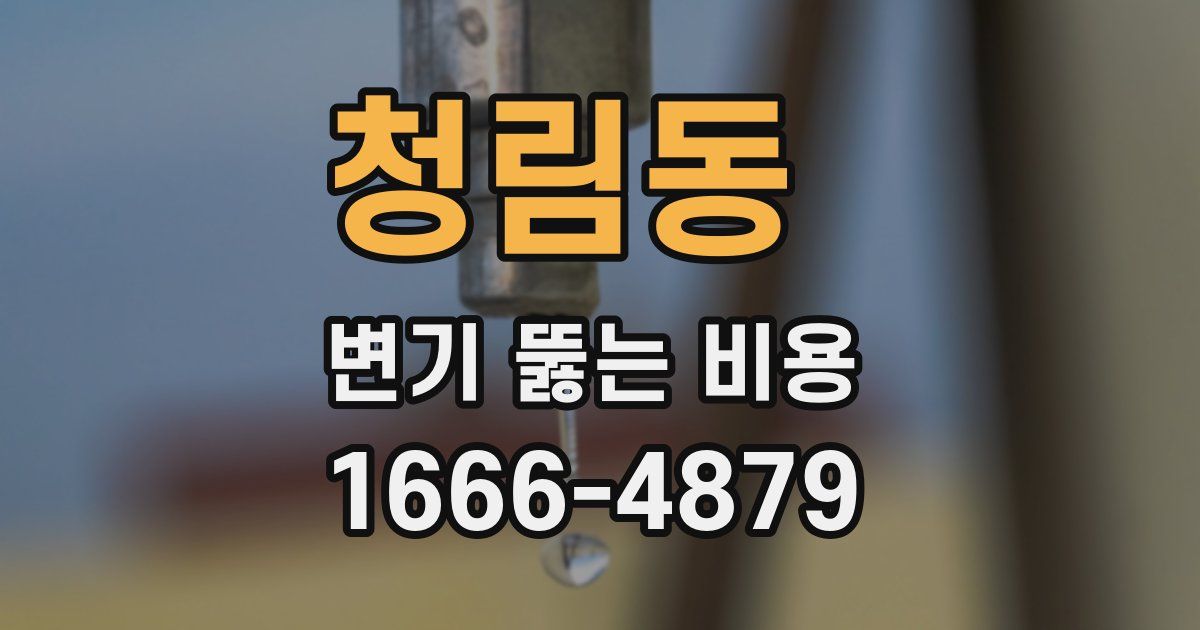 청림동 변기 뚫는 비용