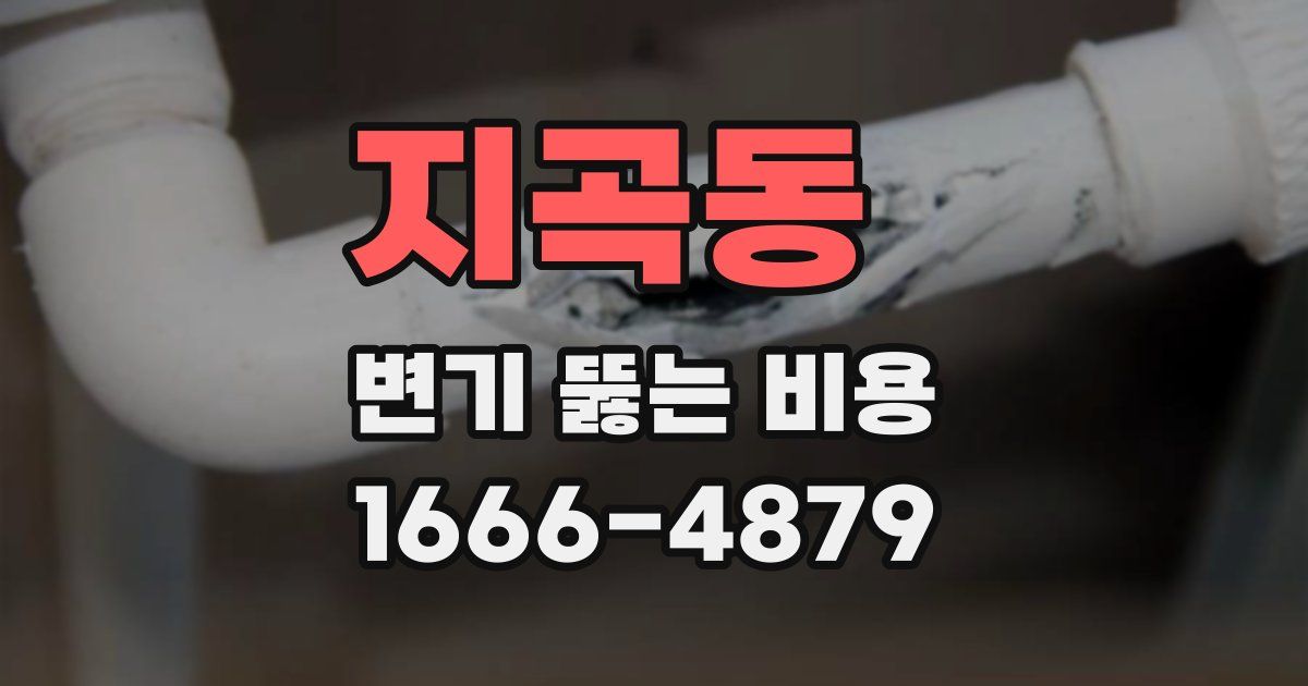 지곡동 변기 뚫는 비용