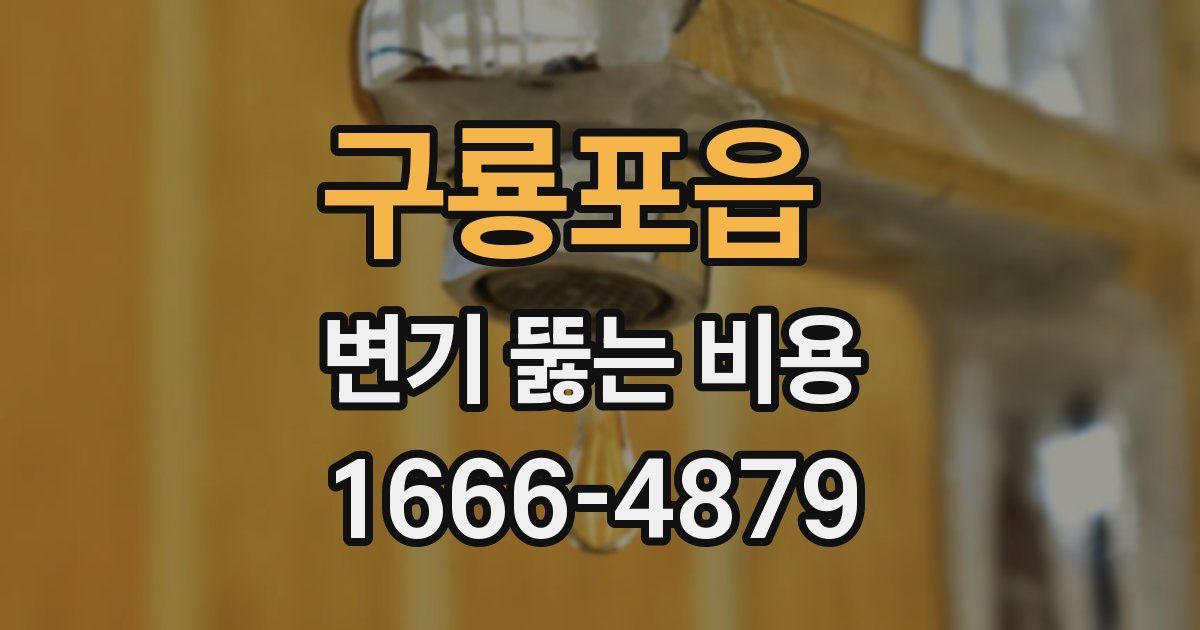 구룡포읍 변기 뚫는 비용