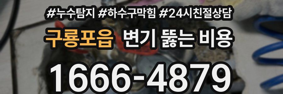 구룡포읍 변기 뚫는 비용