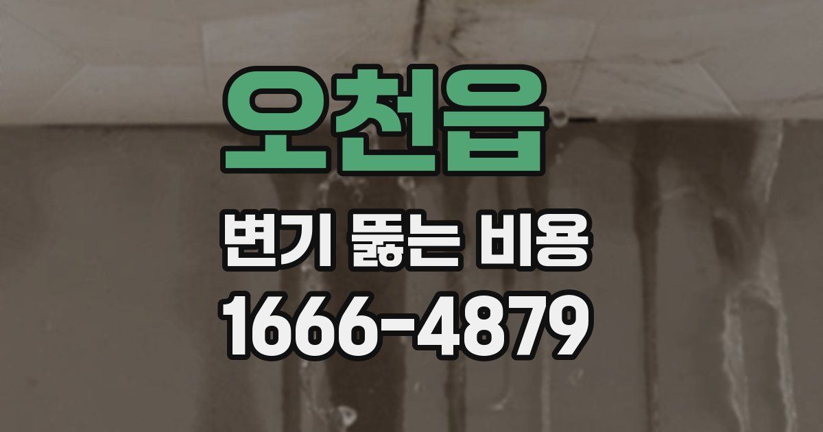 오천읍 변기 뚫는 비용