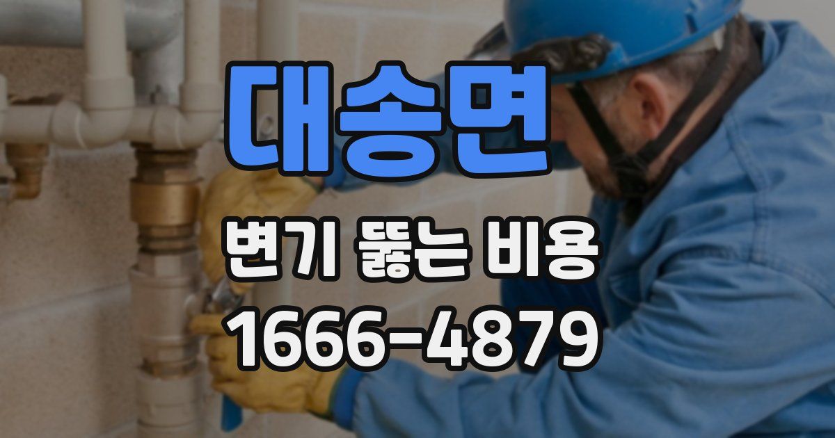 대송면 변기 뚫는 비용