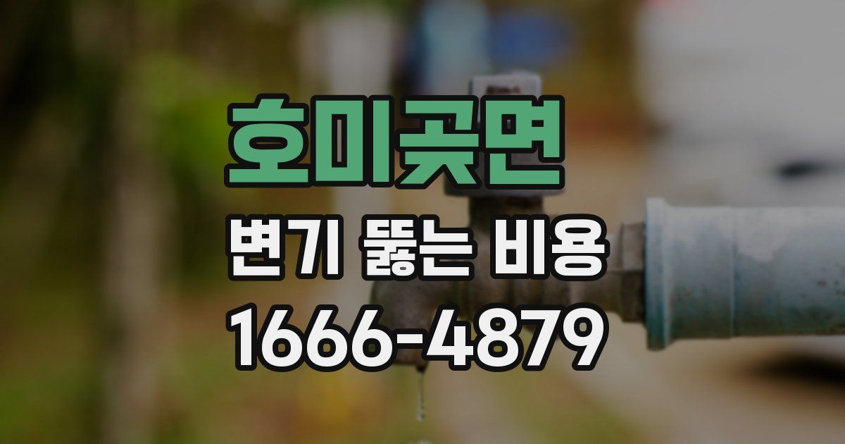 호미곶면 변기 뚫는 비용