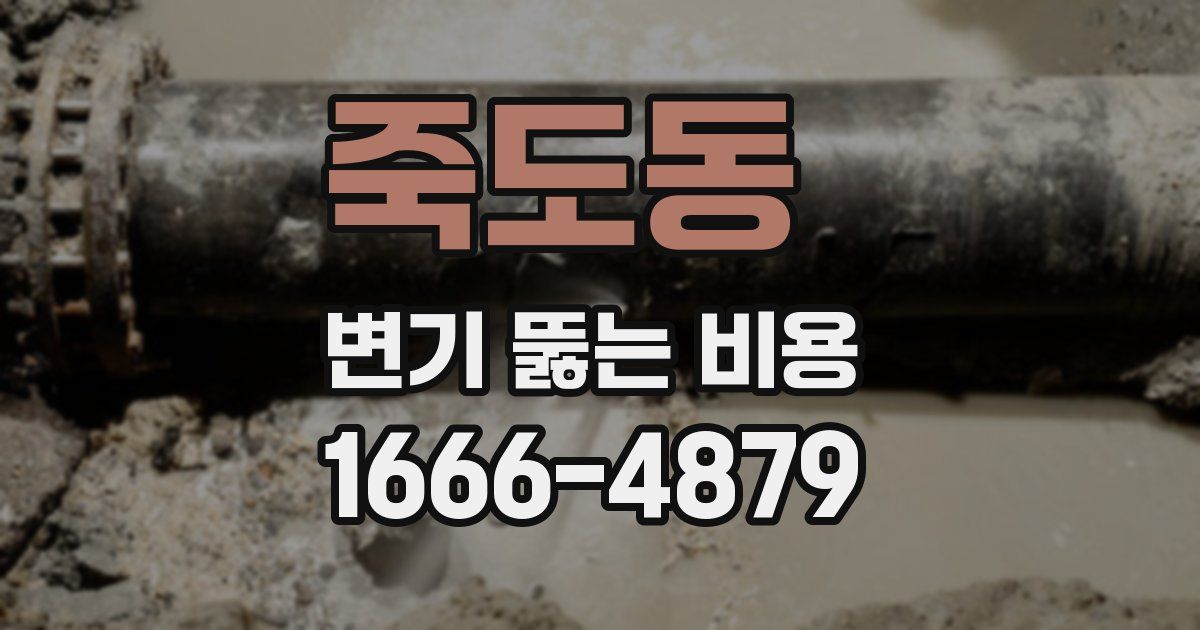 죽도동 변기 뚫는 비용