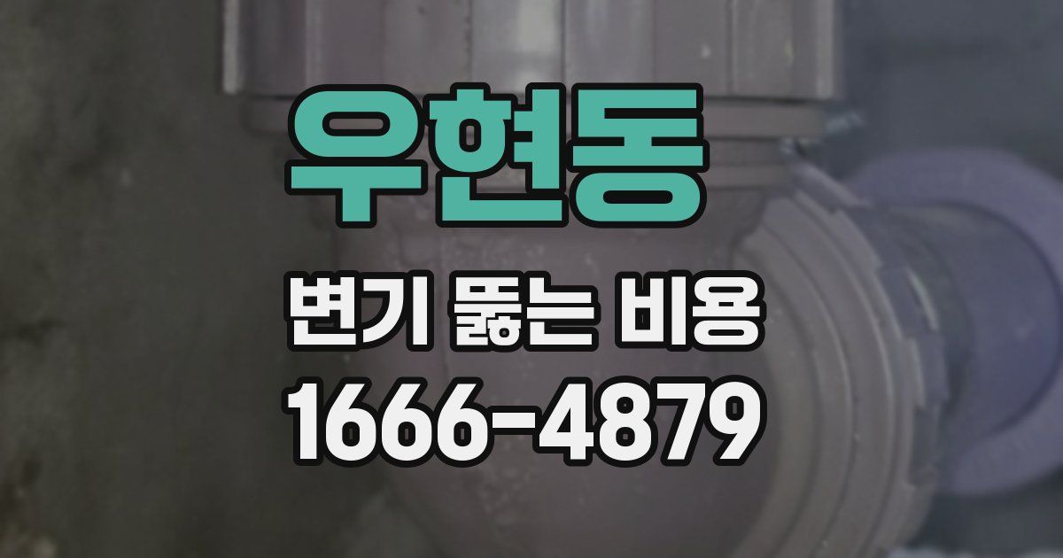 우현동 변기 뚫는 비용