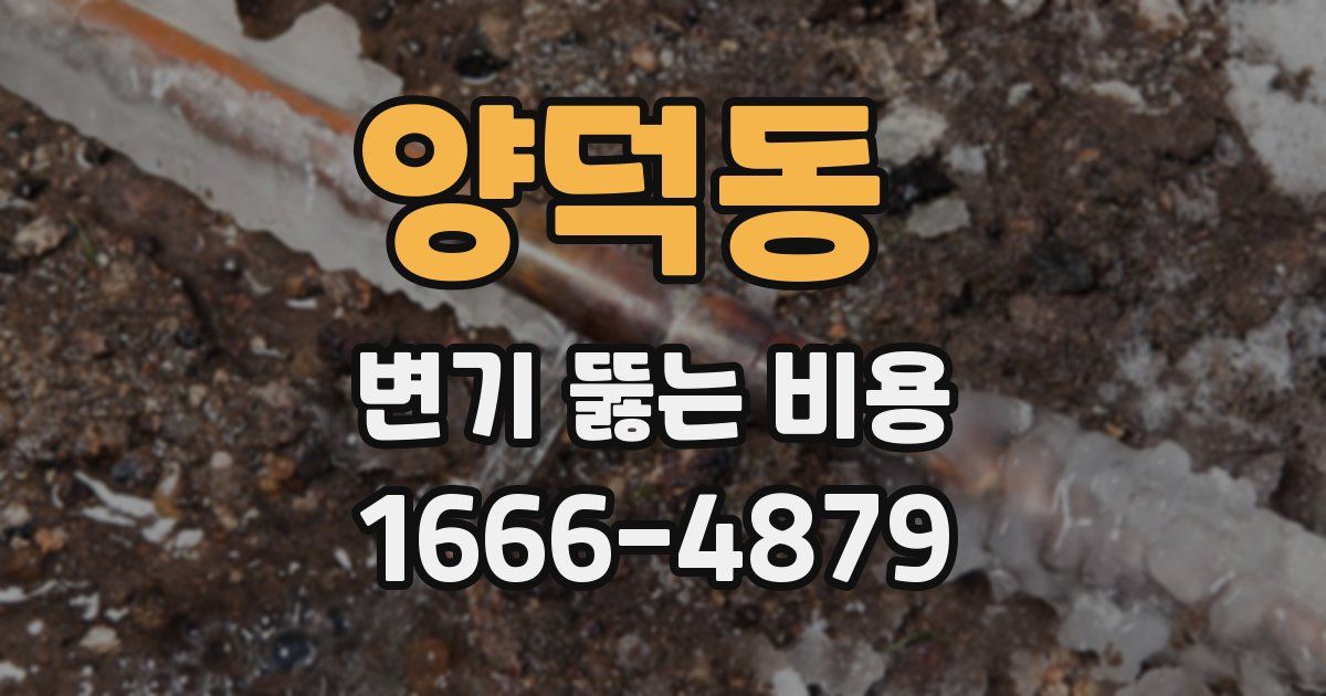 양덕동 변기 뚫는 비용