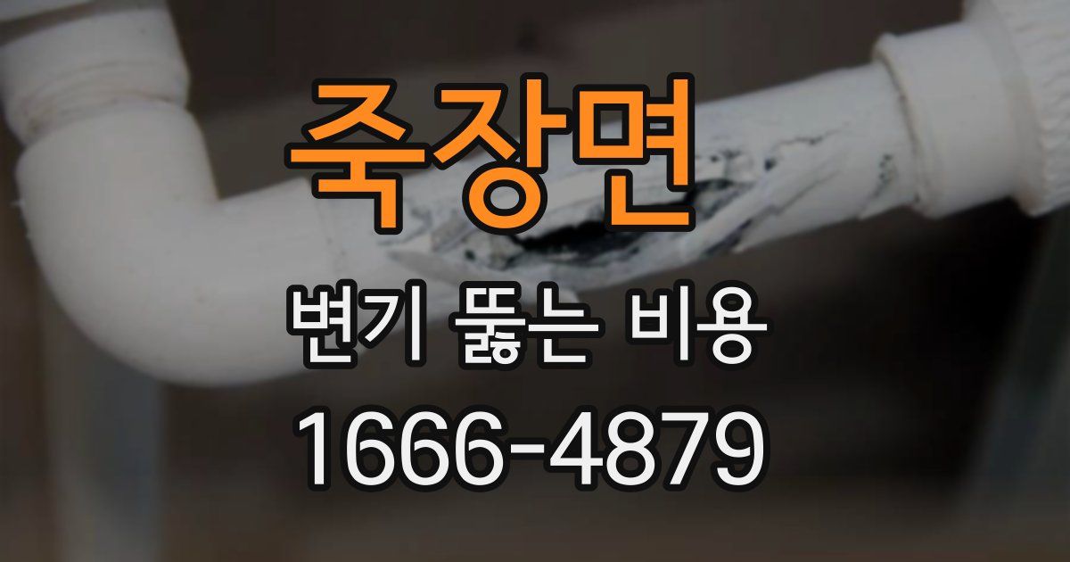 죽장면 변기 뚫는 비용