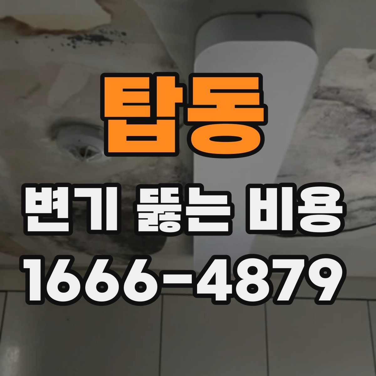 탑동 변기 뚫는 비용