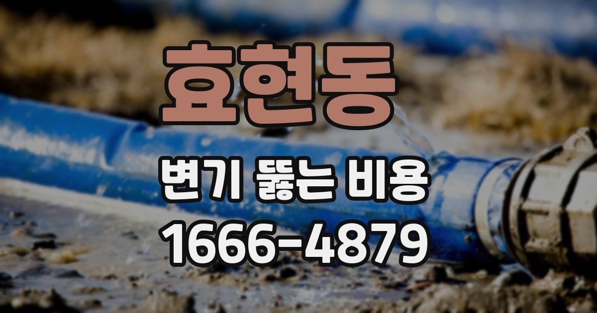 효현동 변기 뚫는 비용