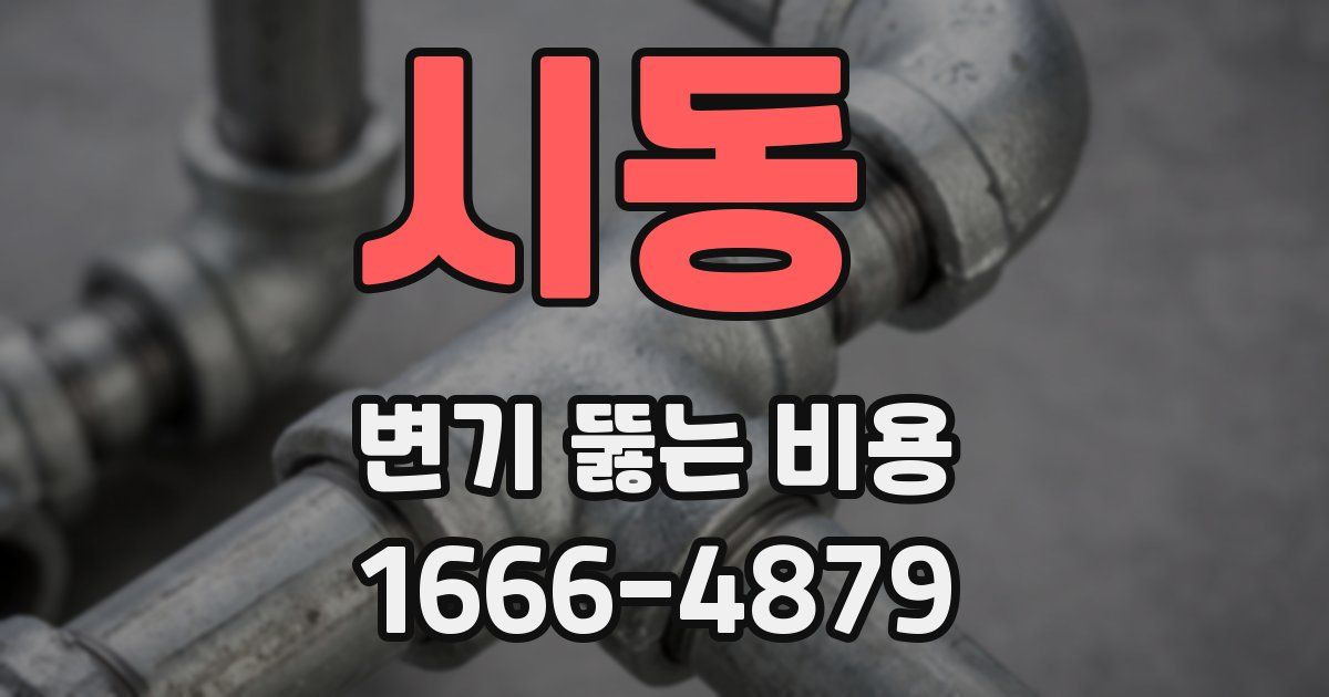 시동 변기 뚫는 비용