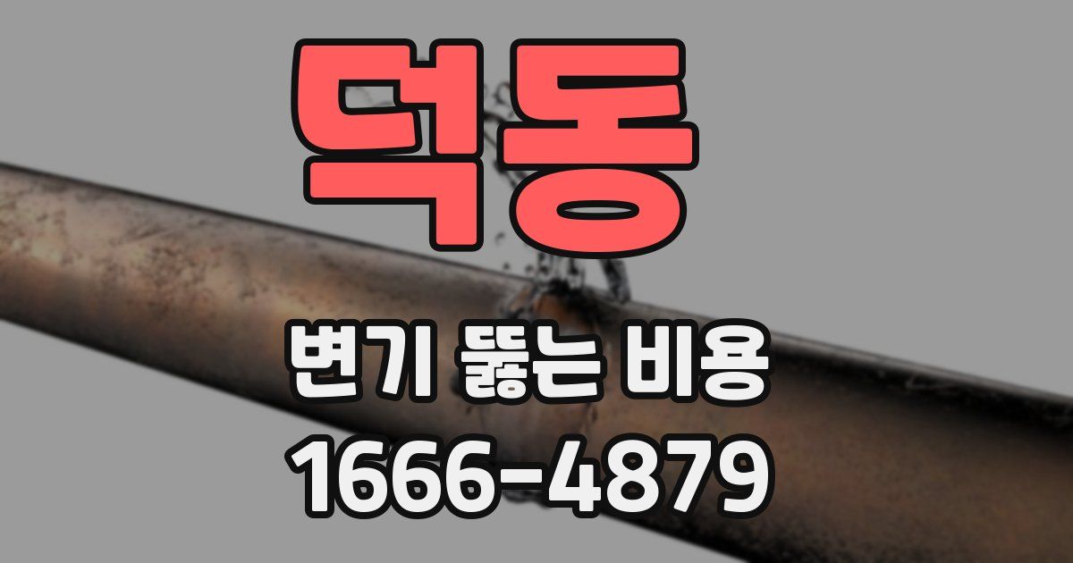 덕동 변기 뚫는 비용