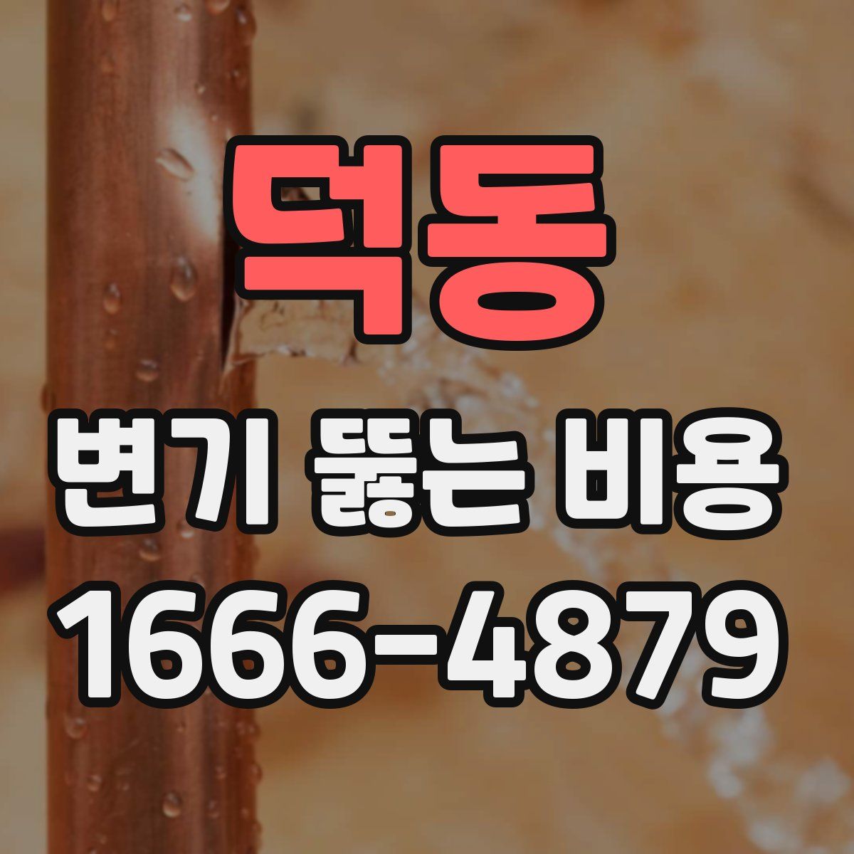덕동 변기 뚫는 비용