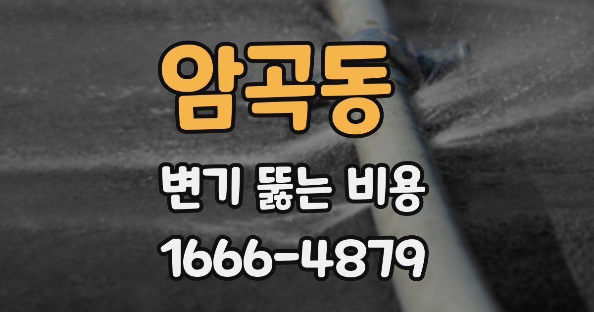 암곡동 변기 뚫는 비용