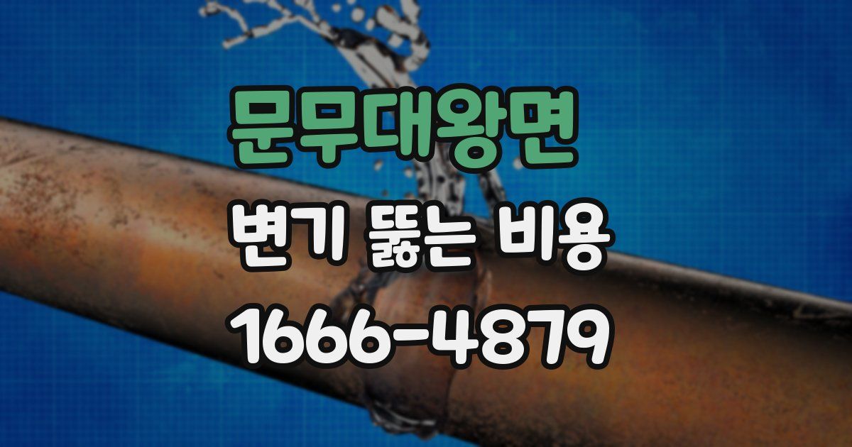 문무대왕면 변기 뚫는 비용